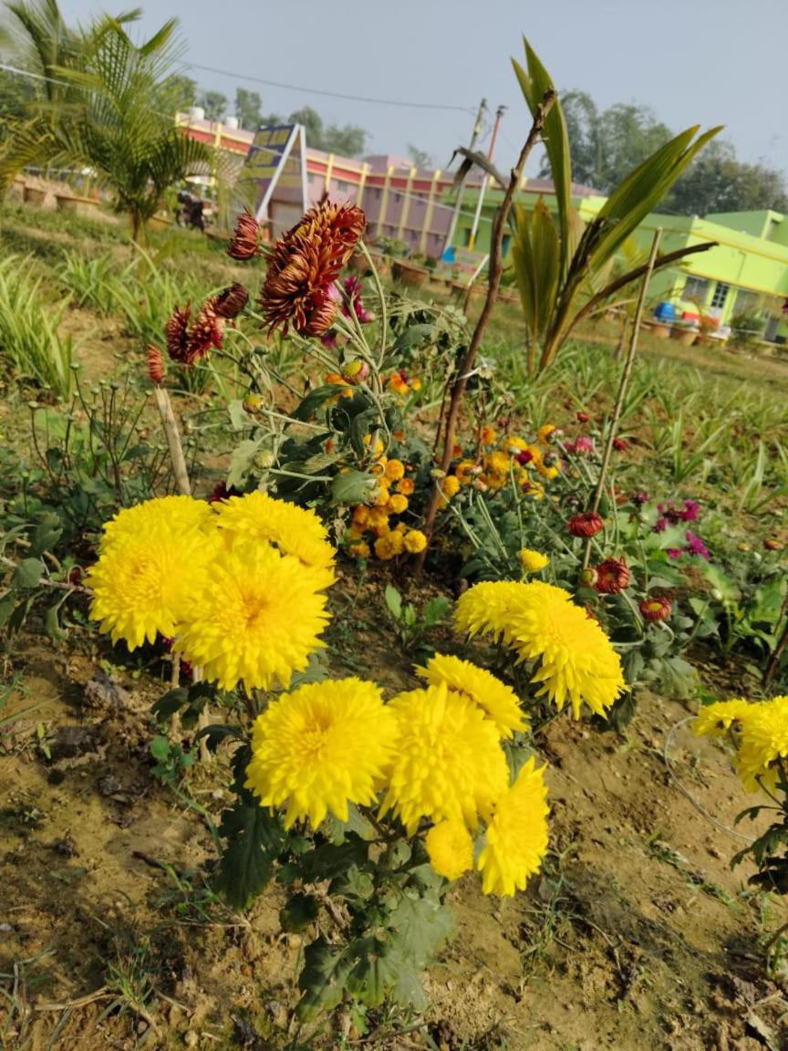 Hotel Olivia And Resort Bankura Exterior photo